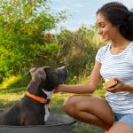 The most outstanding health benefits of CBD for dogs