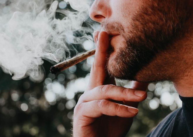 What Are The Best Things About Using THCA Pre Rolls?